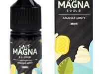 Ananas Mint 30ml | Magna Salt