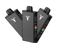 IGNITE V250 Black | 25.000 Puffs