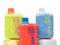 Lost Mary | 5000 Puff