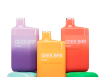 Geek Bar B5000 | 5000 Puffs