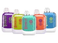 Oxbar G8000 | 8000 Puffs