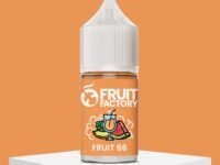 Fruit 66 30ml | Fruit Factory Salt