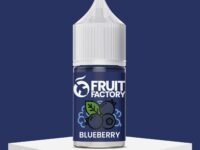 Blueberry 30ml | Fruit Factory