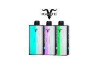 Ignite V400 Mix| 40000 Puffs