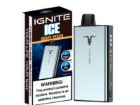 Ignite V400 Silver Edition | 40000 Puffs